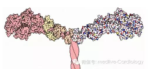 点击查看原图 图片