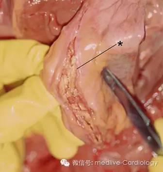 点击查看原图 图片