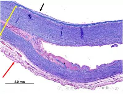 点击查看原图 图片