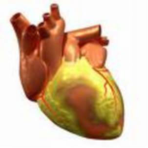 c4e1bda169579d4a3bda904919ee1a49-sz_7673