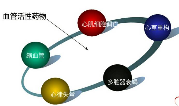 828f70a0d7417156c313e362d4809a44-sz_2269