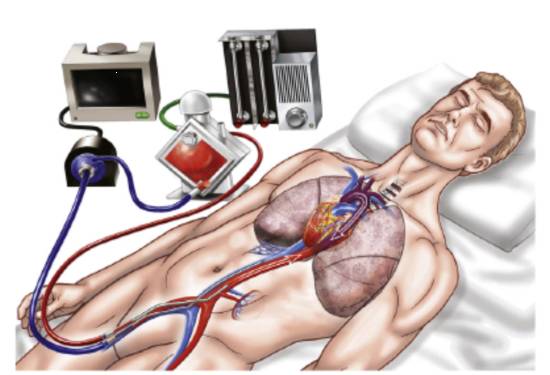 e3a091a8cc2bece7a86fa9114dc37653-sz_2847