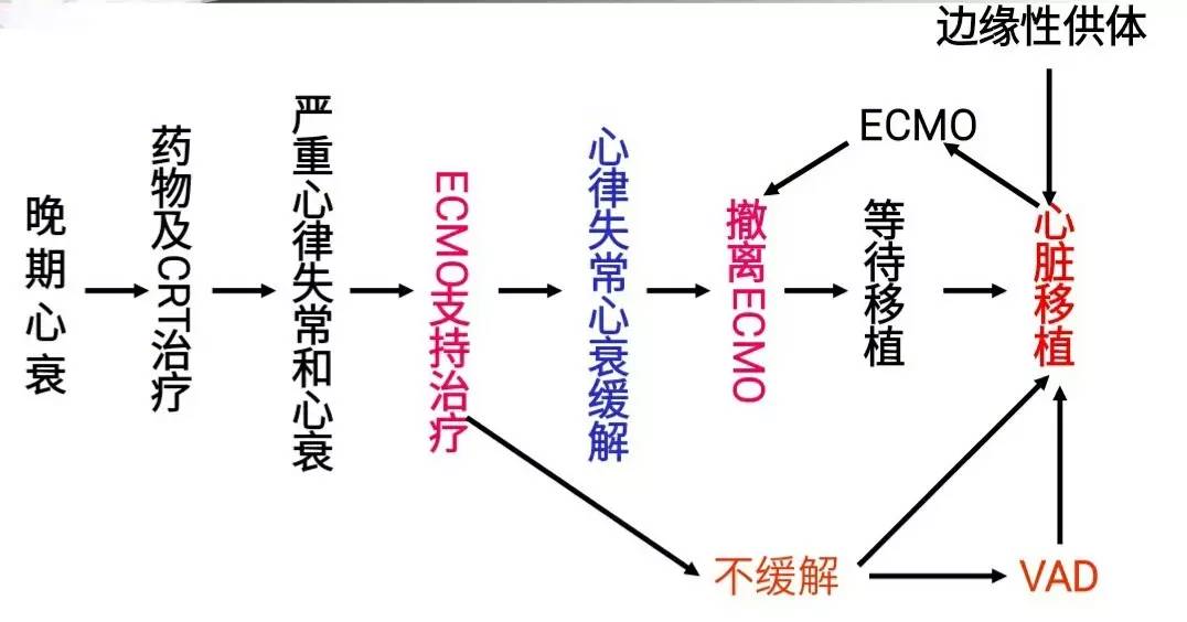 3f23a44eb95c35014615c73dacf146b2-sz_4708