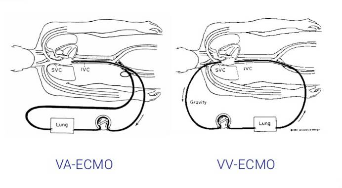 cdfe252cca129239a4fc5f904218b84a-sz_2893