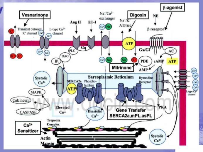 16f0d7858dc028ae0ea1912727daa7c5-sz_5968