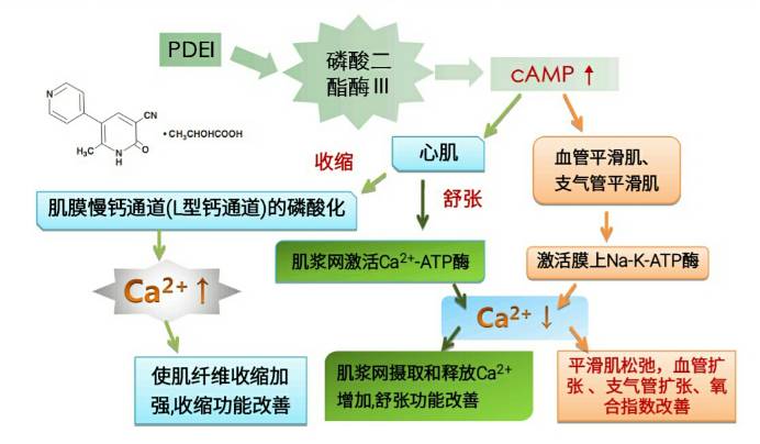 8401f79089a735bd98141e24d0768538-sz_3541