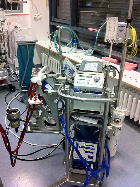 008ea17a348397c991e7d074452f0163-sz_6980