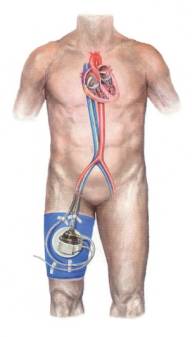 43aac8c03188190901e79ff24c4d5fd6-sz_7546