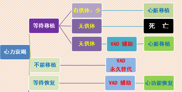 1394e1720908c43c9a787e987a395795-sz_3294