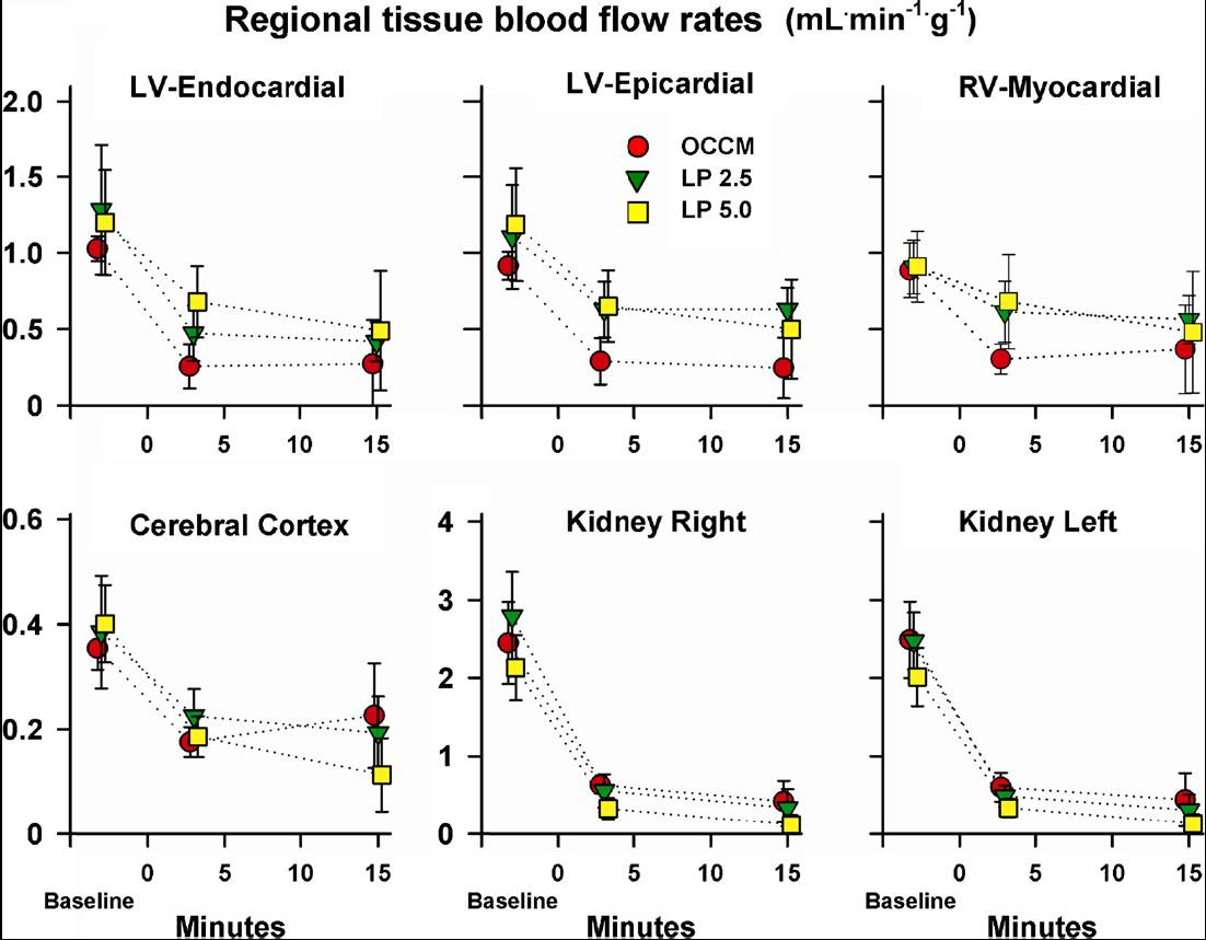 06965fcd162665ff2065964c64efaede-sz_8623