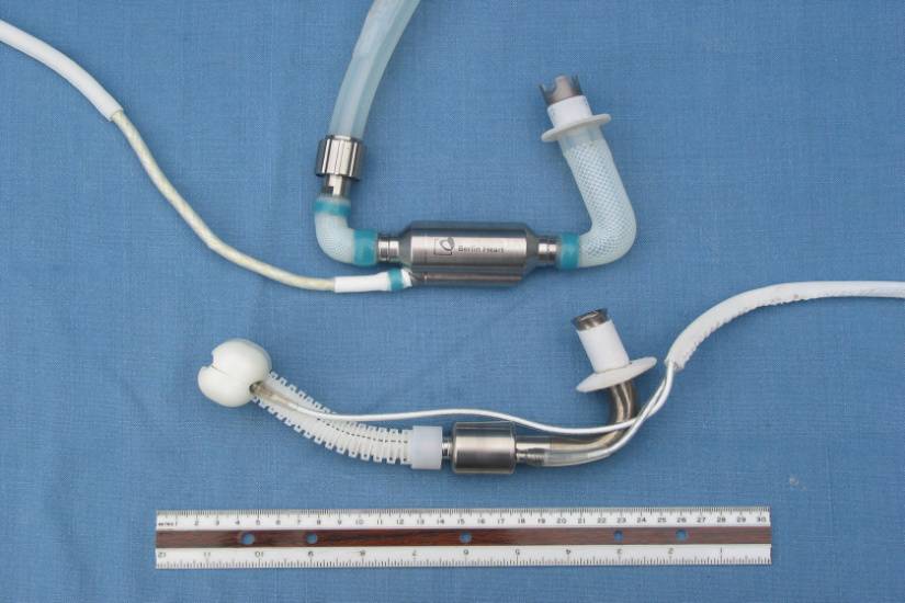 a65918ee2774f556c436ba5e2c2ddae3-sz_4516