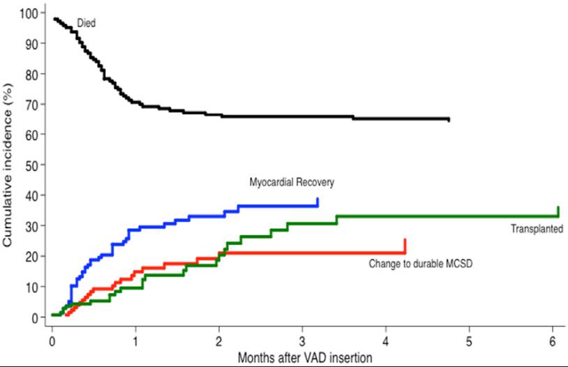 67872431261ac12f35cb529c65511f75-sz_2341