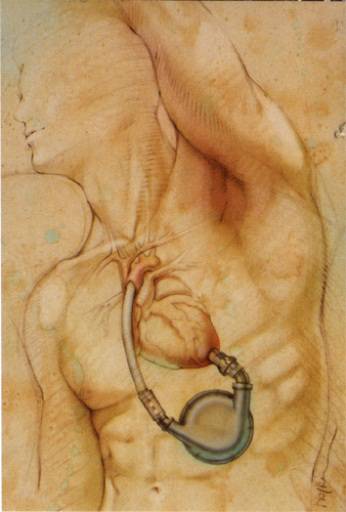 55c3608d3036887df821e026a0b9b354-sz_2091