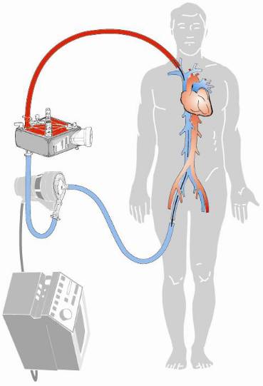 fb1761dfb79910d4dcb9c9c4a83a8d60-sz_1689