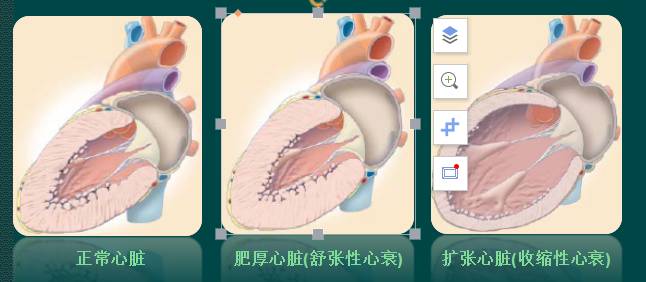 d63aead7d6d9ebdc6cdcada2e2a018eb-sz_2634