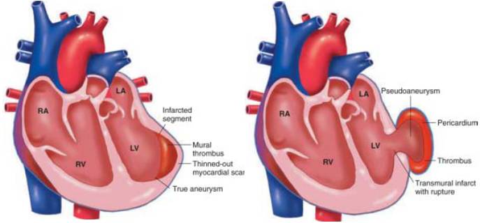 dddaa6ddebcba20a54c5d83b4323c8bf-sz_2510