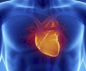 10f6c74af5331bc30badb913f89c11ba-sz_1040